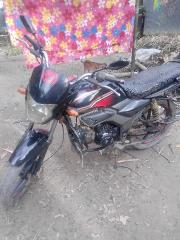 Zaara 100